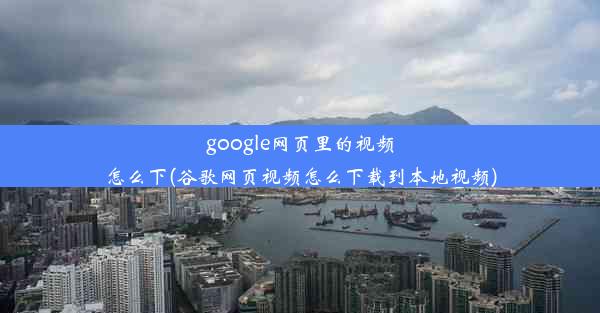 google网页里的视频怎么下(谷歌网页视频怎么下载到本地视频)