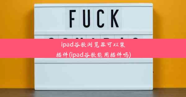 ipad谷歌浏览器可以装插件(ipad谷歌能用插件吗)