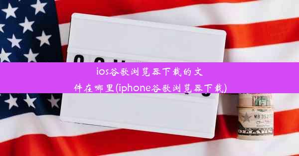 ios谷歌浏览器下载的文件在哪里(iphone谷歌浏览器下载)