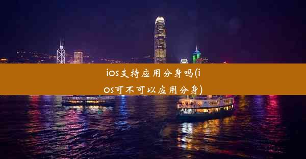 ios支持应用分身吗(ios可不可以应用分身)