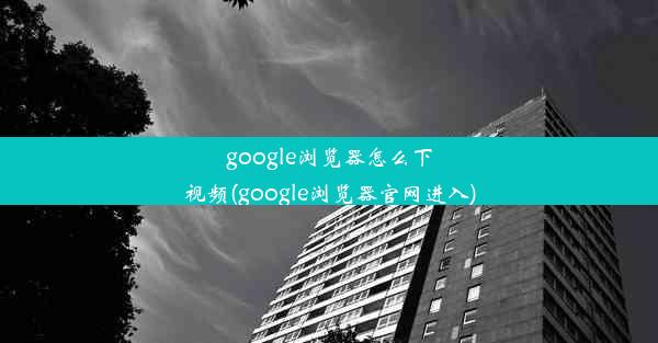 google浏览器怎么下视频(google浏览器官网进入)