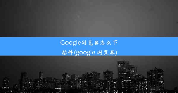 Google浏览器怎么下插件(google 浏览器)