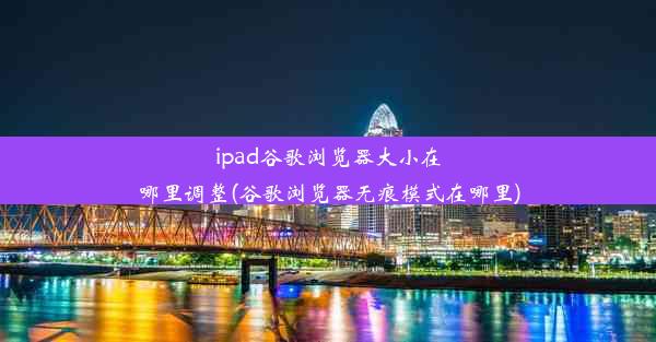 ipad谷歌浏览器大小在哪里调整(谷歌浏览器无痕模式在哪里)