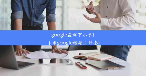 google在哪下小米(小米google框架三件套)