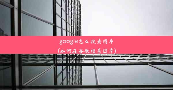 google怎么搜索图片(如何在谷歌搜索图片)