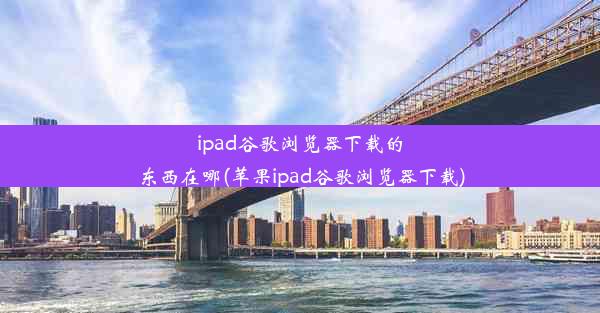 ipad谷歌浏览器下载的东西在哪(苹果ipad谷歌浏览器下载)