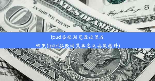 ipad谷歌浏览器设置在哪里(ipad谷歌浏览器怎么安装插件)